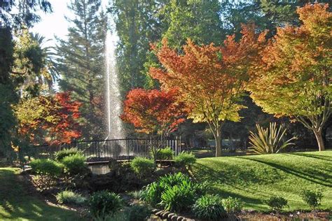 lv conception horticulture|Gardens at Palmdale .